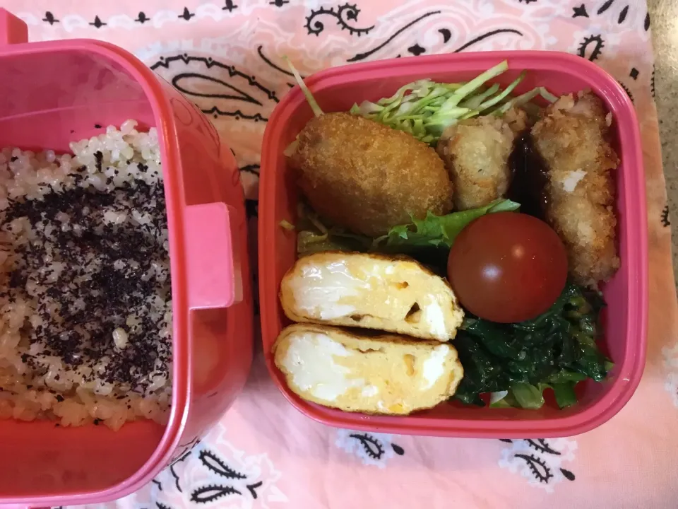 ♫3/19今日のお弁当♫〜チキンカツ、カレーコロッケ、だし巻き卵、ほうれん草胡麻和え、プチトマト〜|Satokoさん