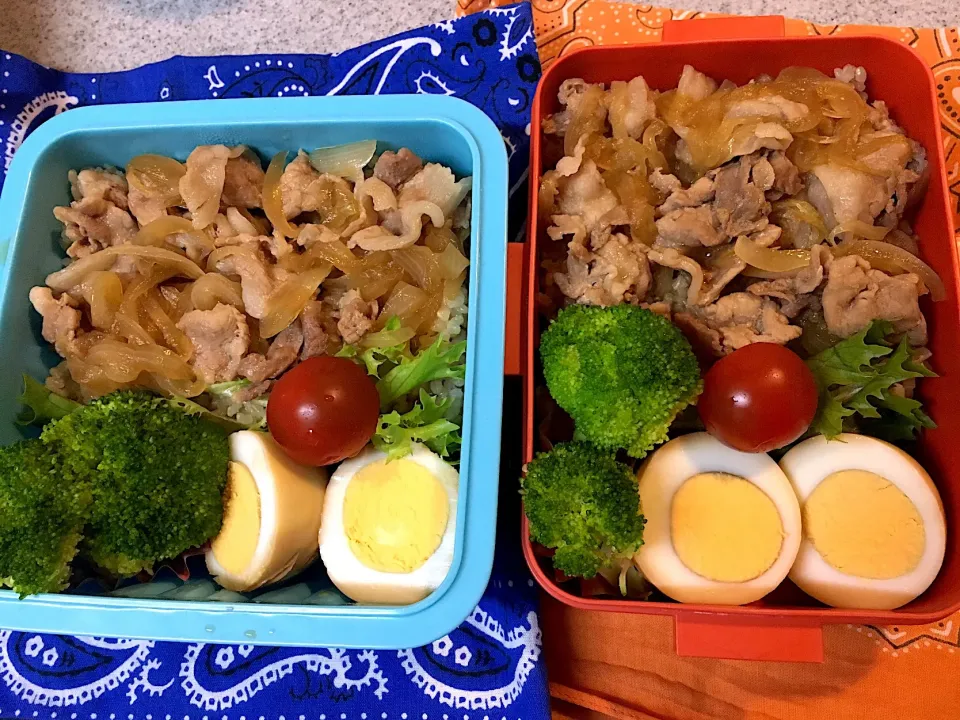 Snapdishの料理写真:♫3/20今日のお弁当♫〜豚丼、味玉子、ブロッコリー、プチトマト〜|Satokoさん