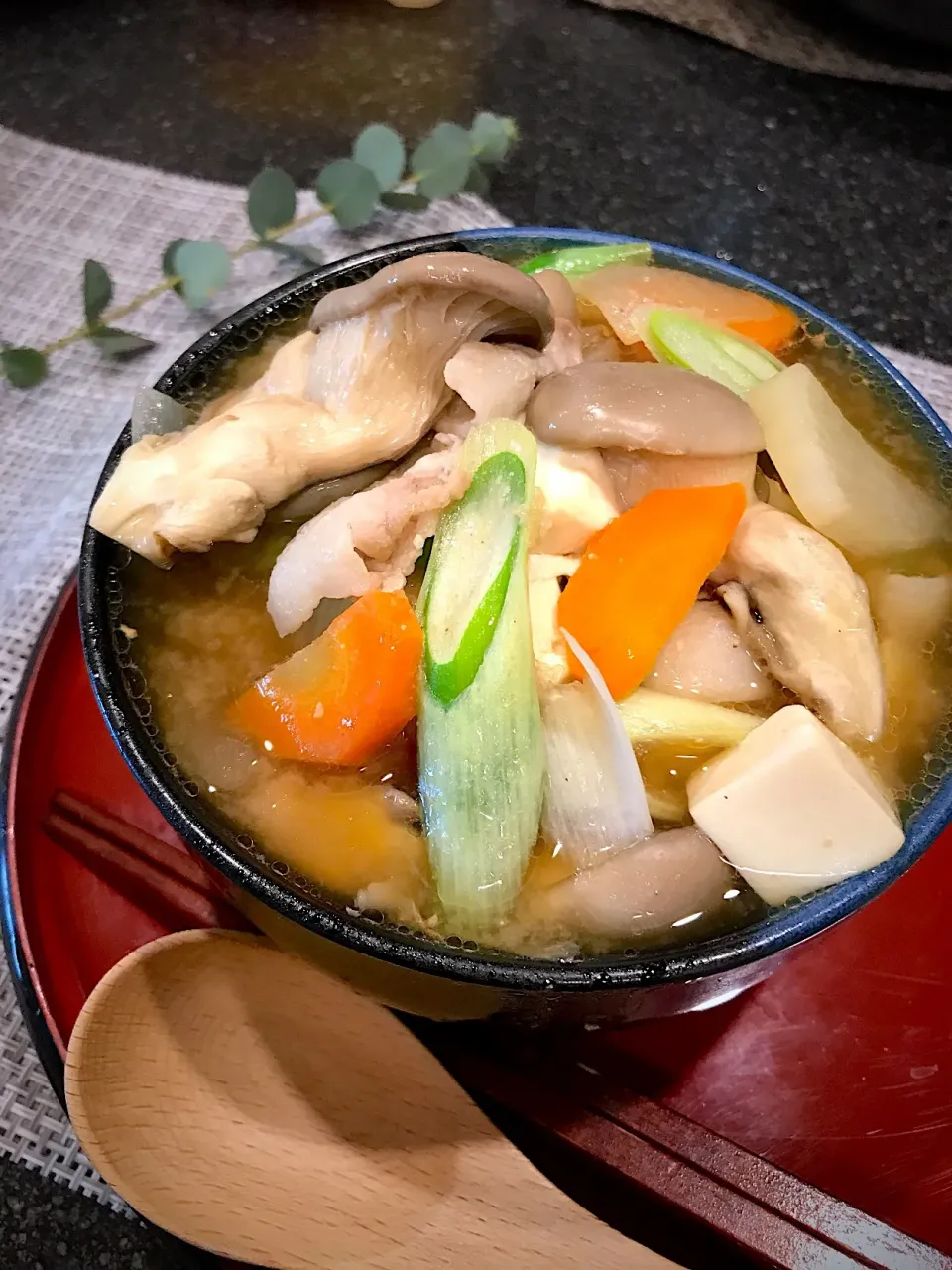 きのこたっぷり田舎汁🍄まいりさん風🤣🤣|シュトママさん