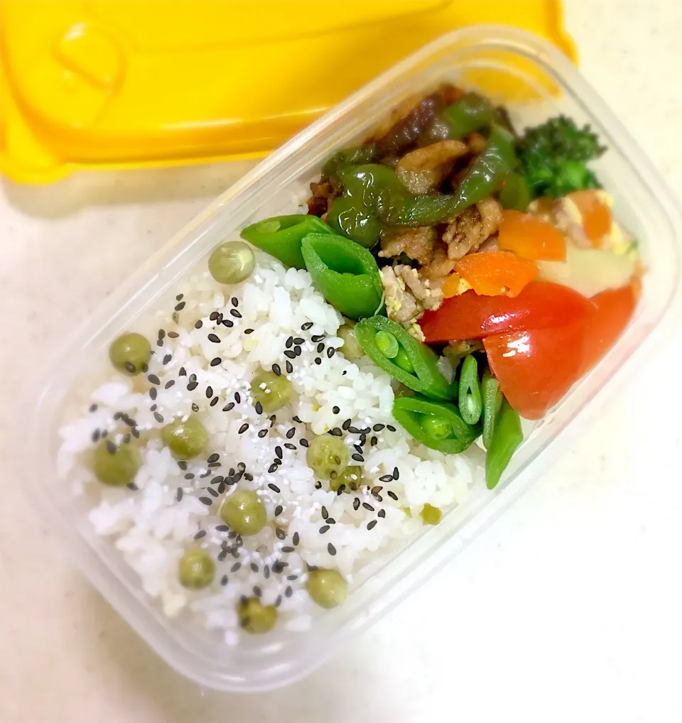 Today's lunch box.|hoppycowさん