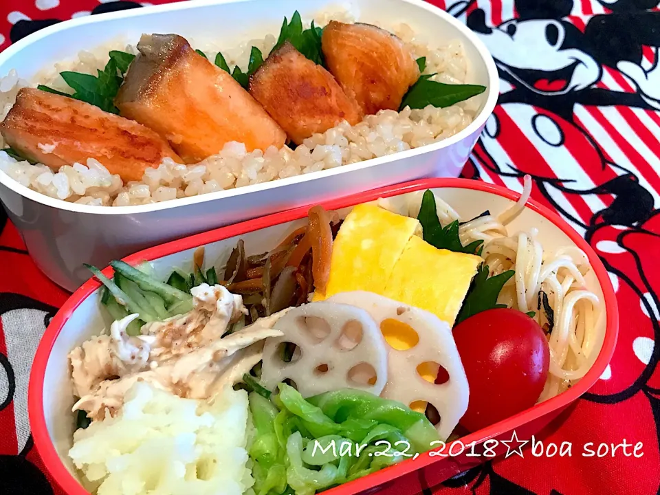 夫弁当☆焼鮭🐟 今日は娘が詰めてくれました😄|kaoriさん