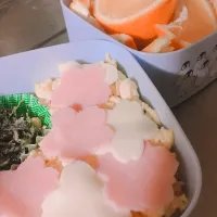 桜のお弁当🌸|ハーさんさん