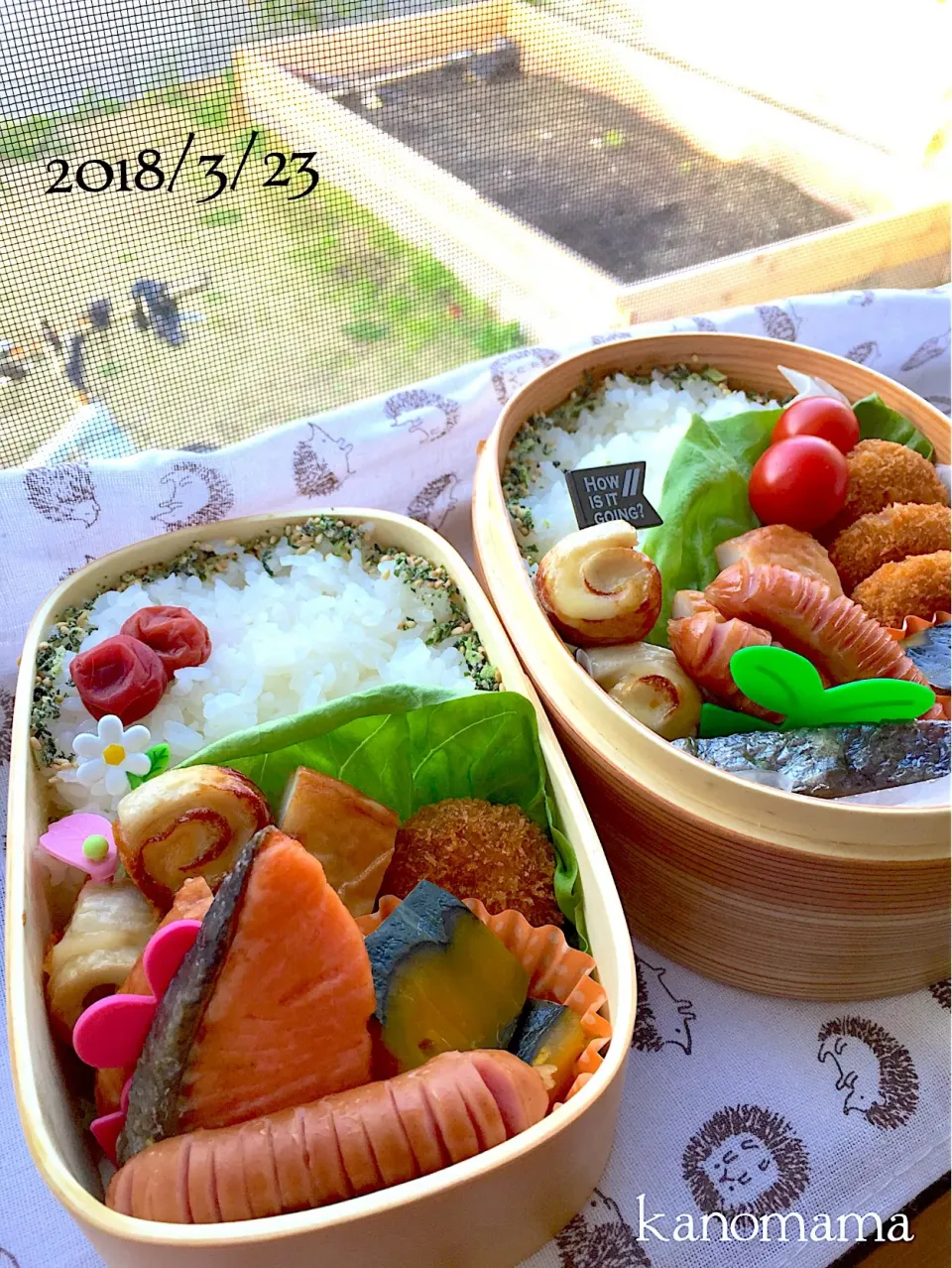 Snapdishの料理写真:息子くん娘ちゃん弁当〜♪|ゆきさん