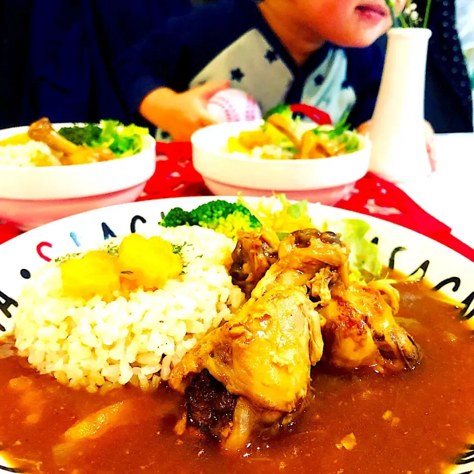 圧力鍋鍋で、ホロホロ手羽元カレー🍛|ハマちゃんさん