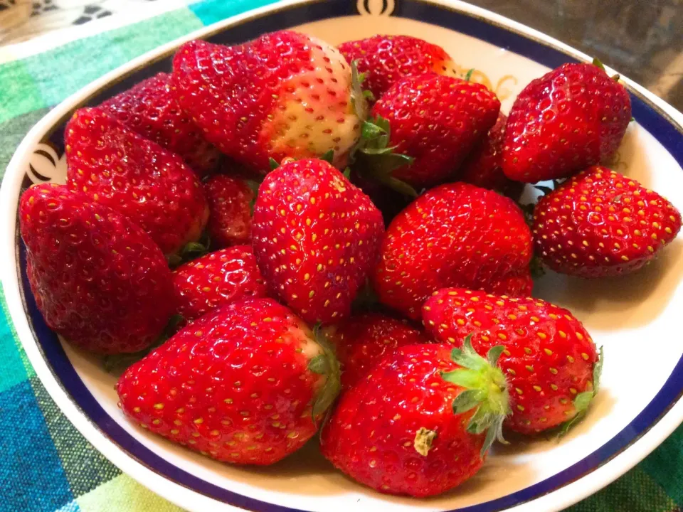 Snapdishの料理写真:もぐもぐタイム🍓😋|アライさんさん