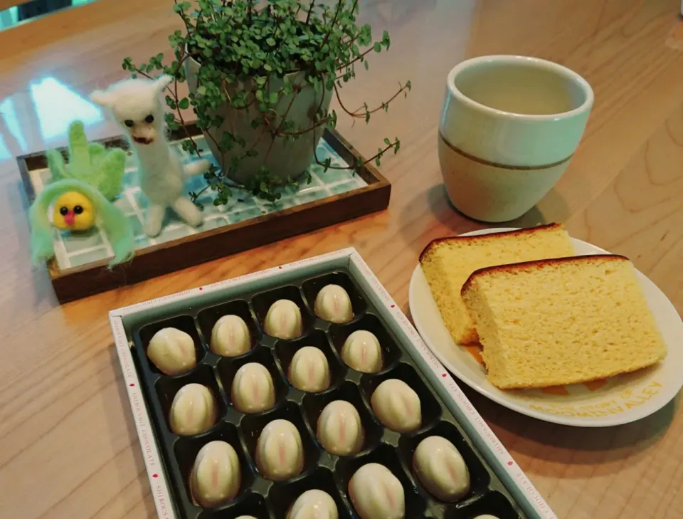 めぐｻﾝ家🏠うさぎﾁｮｺ＆ｶｽﾃﾗ♥️|maico☆さん