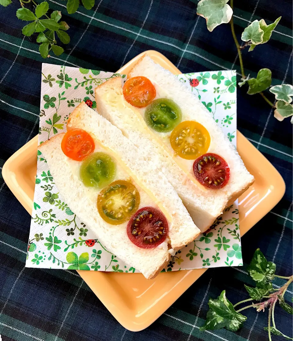 Snapdishの料理写真:🍅フルーツサンドじゃないよ😉 カラフルプチトマトで サンドウィッチ🥪 チーズ🧀とマッシュポテトと プチトマトの後ろに こっそり茹で卵がサンドされてるよ😉|Hollyさん