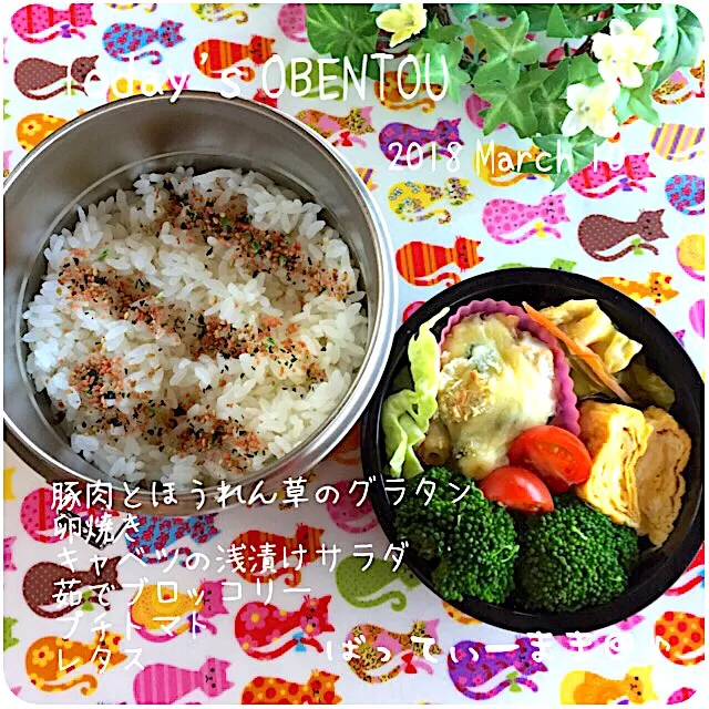 豚肉とほうれん草のグラタン弁当～♡  #ばってぃーまま＠♪の節約しても美味しいお弁当|ばってぃーまま＠♪さん