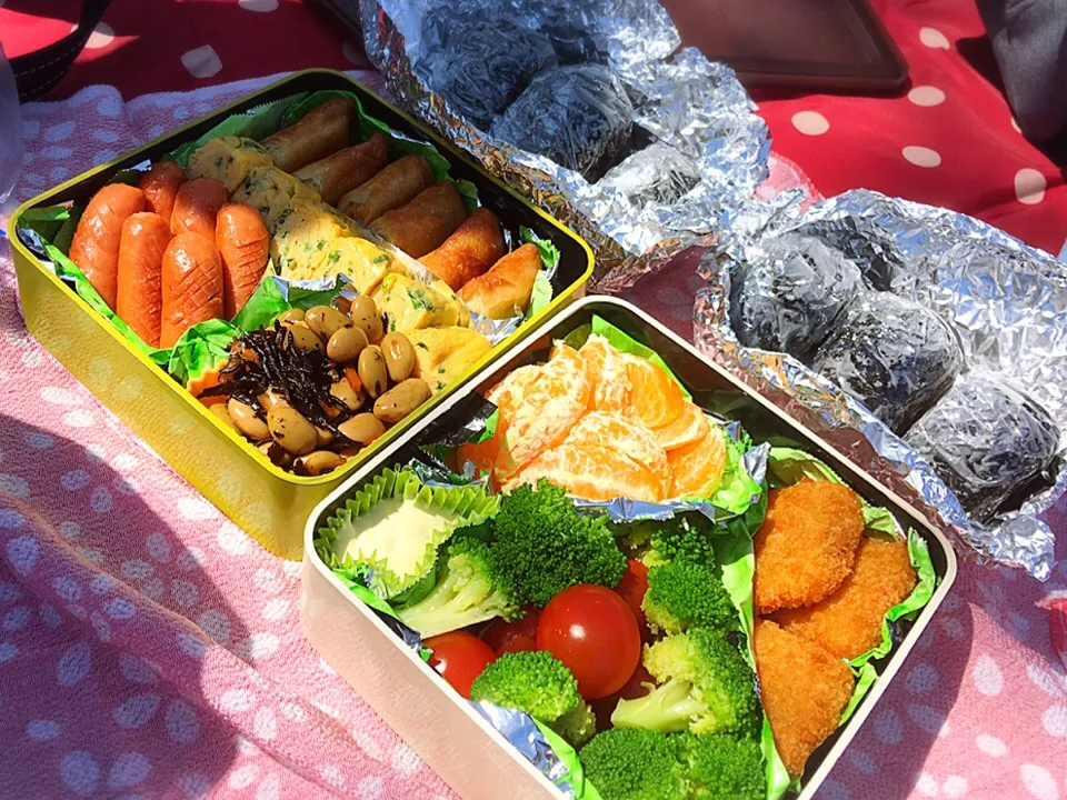 3/25 残り物でお花見弁当🌸|ikukoさん