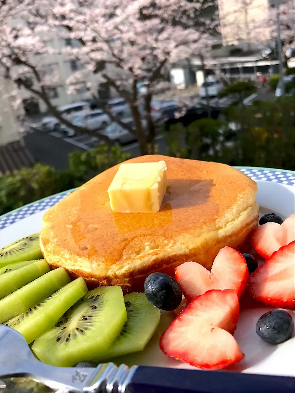 🌸パンケーキで朝ごはん🌸満開🥞|シュトママさん