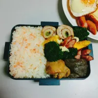 Snapdishの料理写真:#お弁当|りささん