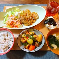 鶏肉の味噌マヨ漬け焼き玉ねぎだれ、新じゃがとちくわの煮物、冷奴、味噌汁、三十穀米|おむすびさん