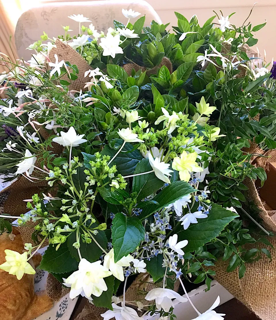 Easter tablescape flowers  #easter  #flowers  #tablescapes|🌺IAnneさん