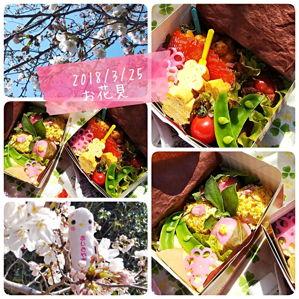 🌸お花見弁当2018🌸|めぐチー🌿さん