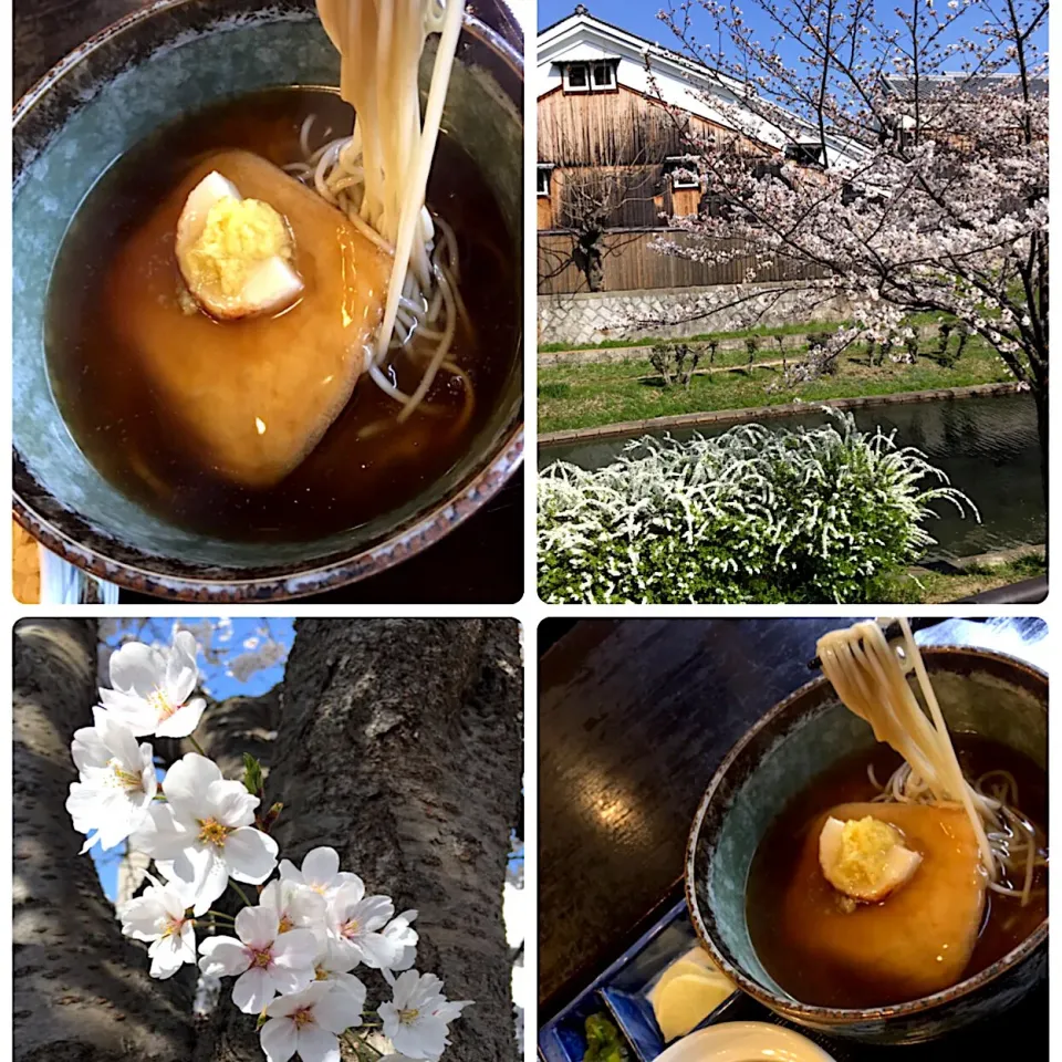 先日食べた餡掛けきつね蕎麦と🌸|MOMO-chan☻さん