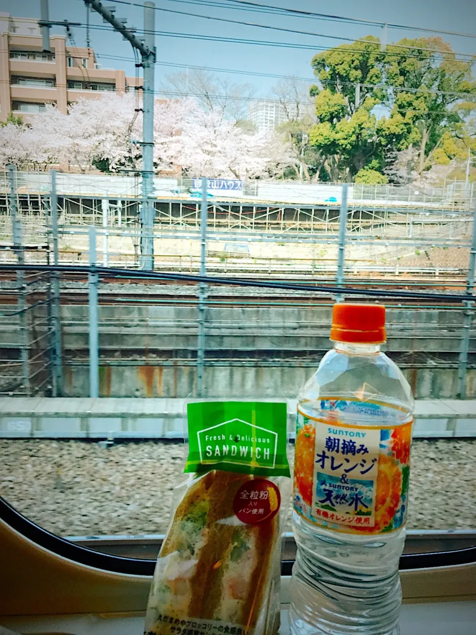 新幹線の車窓から|もっさんさん