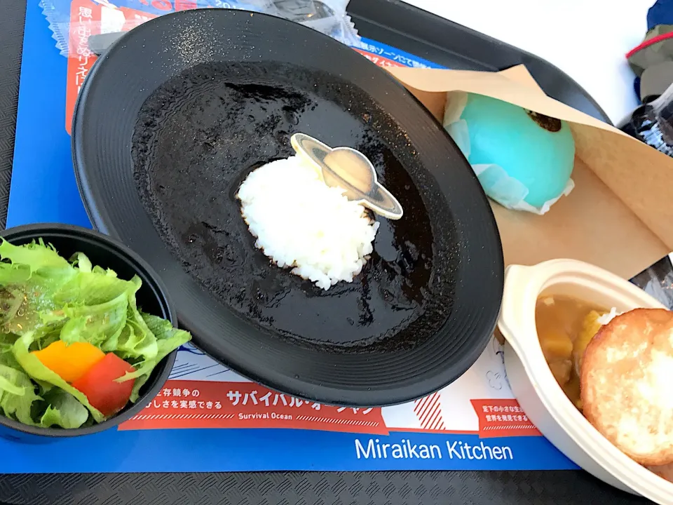 夜空カレー🌃 金粉がけ✨  お月さまカレー🌝🍛  青い地球肉まん🌏|ch＊K*∀o(^^*)♪さん