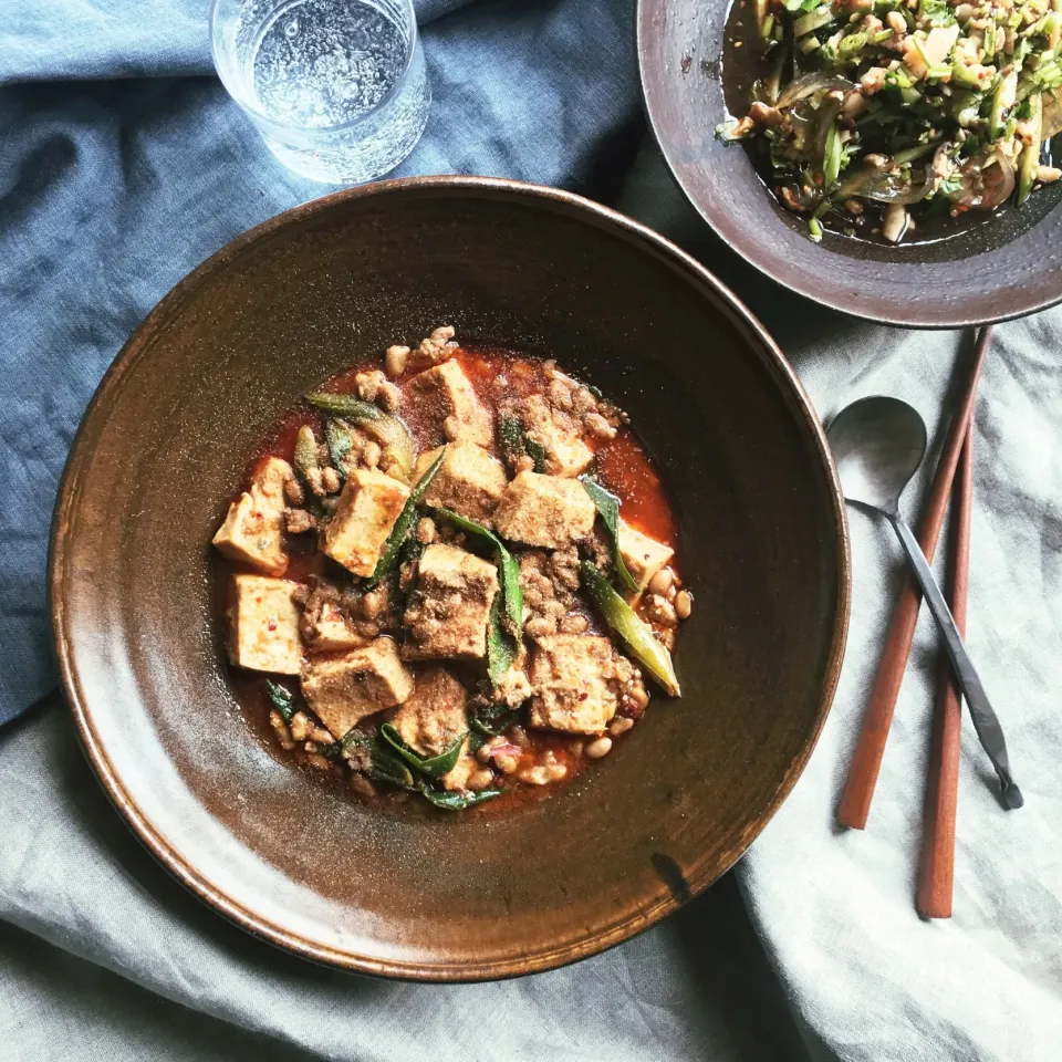 てつやさんの料理 ローカーボ麻婆豆腐の筈が…😬|やまださん