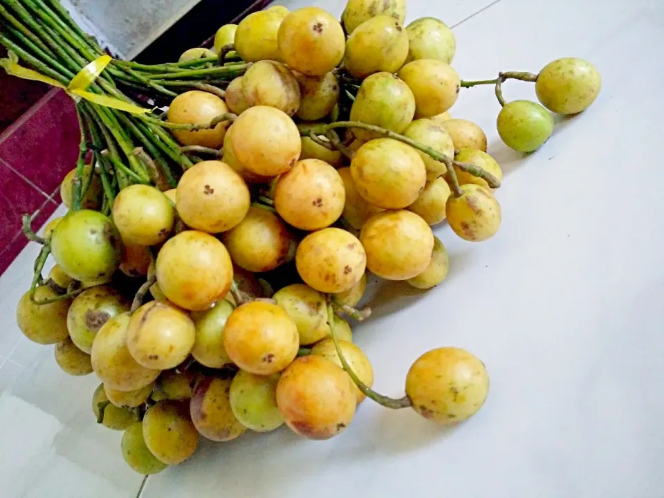 Kepundung... 
one of oriental fruits....

#indonesianfruis|Mutiara Ulyaさん