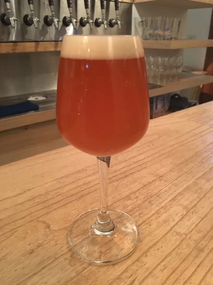 Mikkeller CITRA Single Hop 單一酒花 IIPA|PegaOさん