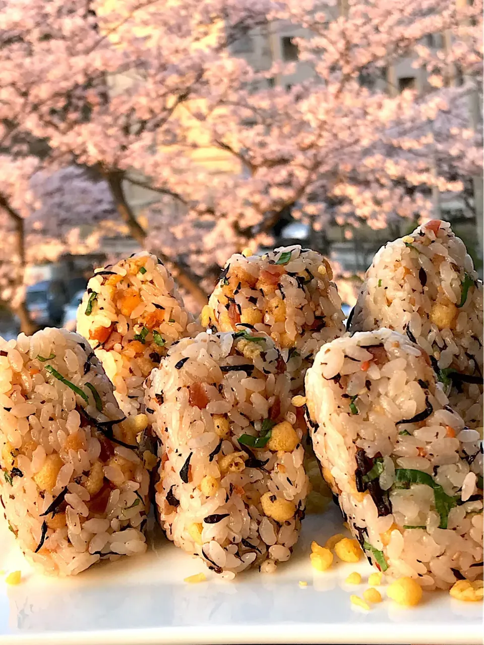 メイスイさんの料理 たぬきおむすび 作ってみたかった👍🌸朝日に輝くたぬきおむすび|シュトママさん