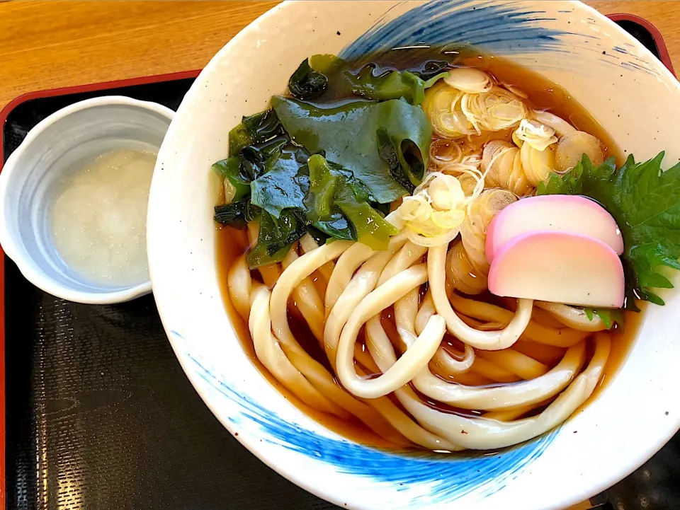 梅おろしうどん 梅抜き@元祖武蔵野うどん めんこや本店(南古谷)|miyaさん