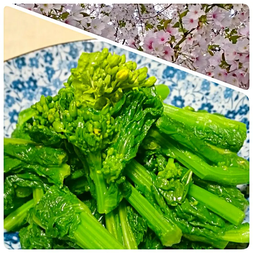 Snapdishの料理写真:☆今日の晩ごはん☆  菜の花のからし和え  ぶりの照り焼き  回鍋肉風炒め物|hamamaさん