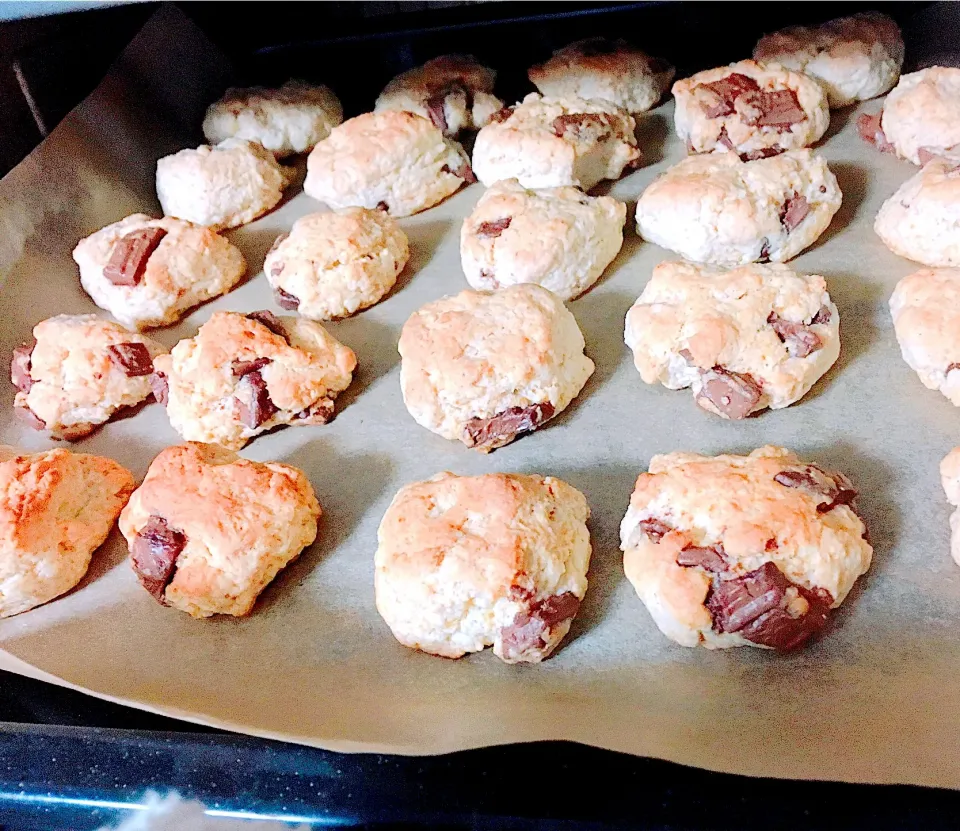 プチチョコスコーン|ゆの。さん