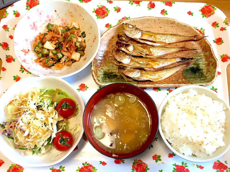 はたはた🐟イカオクラキムチ🦑なめこと豆腐のお味噌汁 野菜サラダ🥗 炒りごま入りゆめぴりか🍚🥢|yumyum😋さん