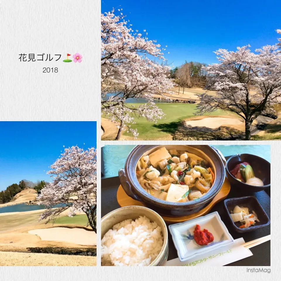 Snapdishの料理写真:花見ゴルフ⛳️🌸🏌️‍♂️
「モツ鍋定食」😋|アライさんさん