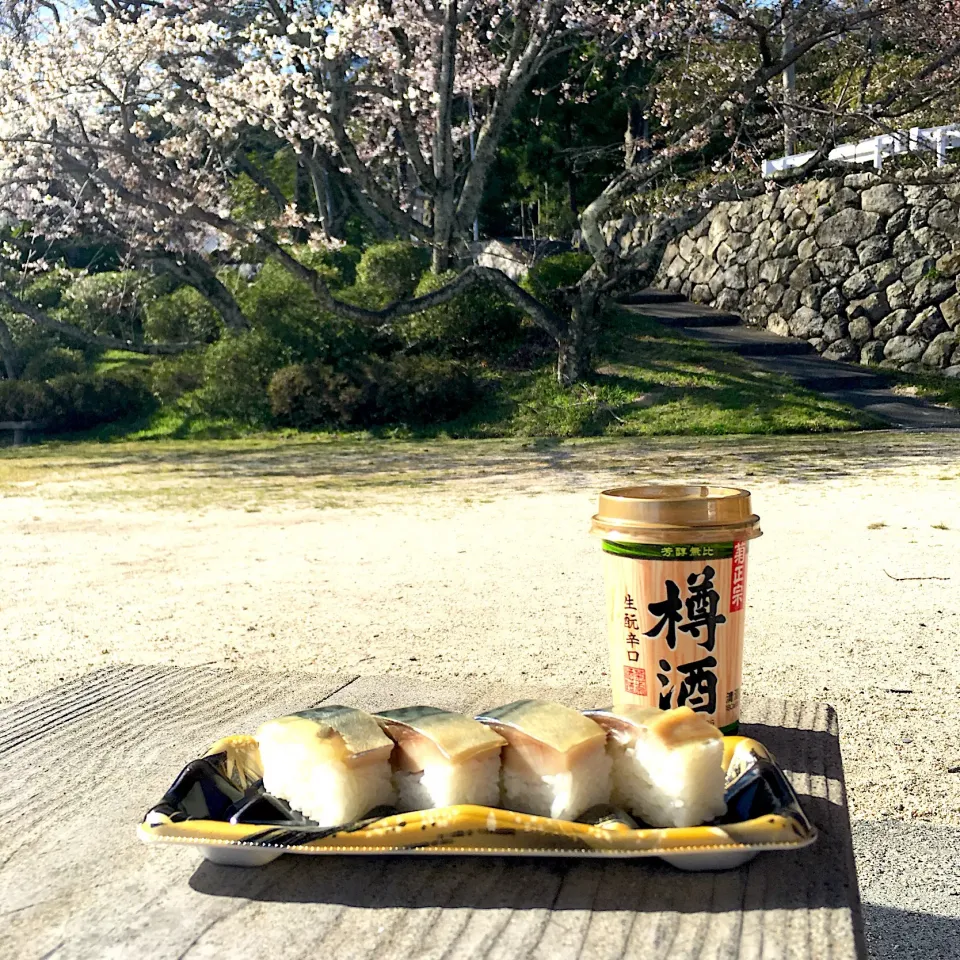 夕方ピクニック♬ (▰˘◡˘▰)☝︎
 #夕方ピクニック  #ピクニック  #ピクニック弁当  #お花見 #花見酒  #菊正宗  #ワンカップ|Yoshinobu Nakagawaさん