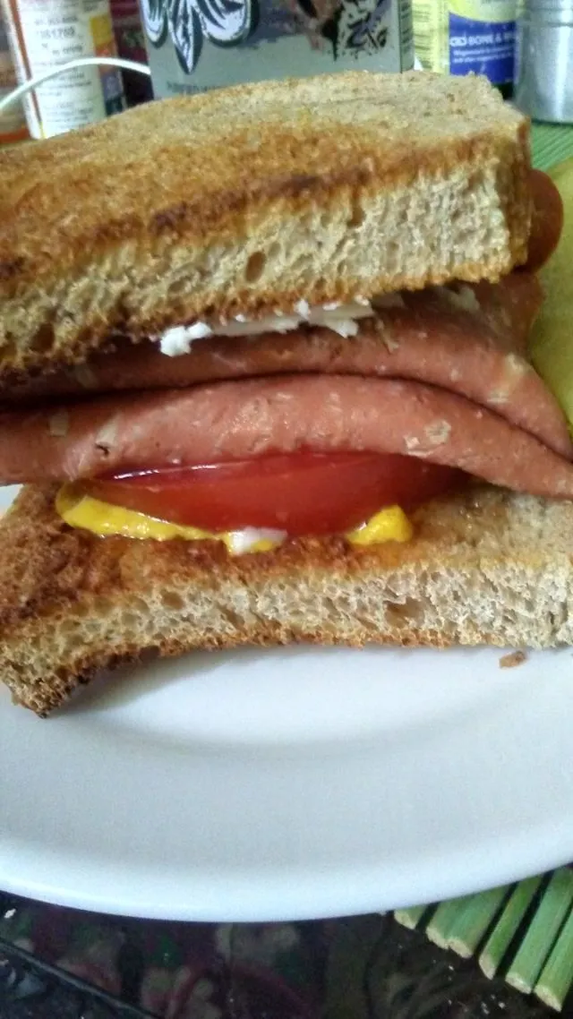 Snapdishの料理写真:vegan salami sandwich|Jack Polandさん