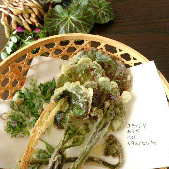 春の天ぷら ユキノシタ わらび つくし カラスノエンドウ うさかめ Snapdish スナップディッシュ Id 905spa