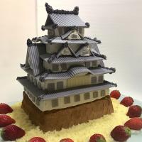 Birthday cake
＂姫路城！＂