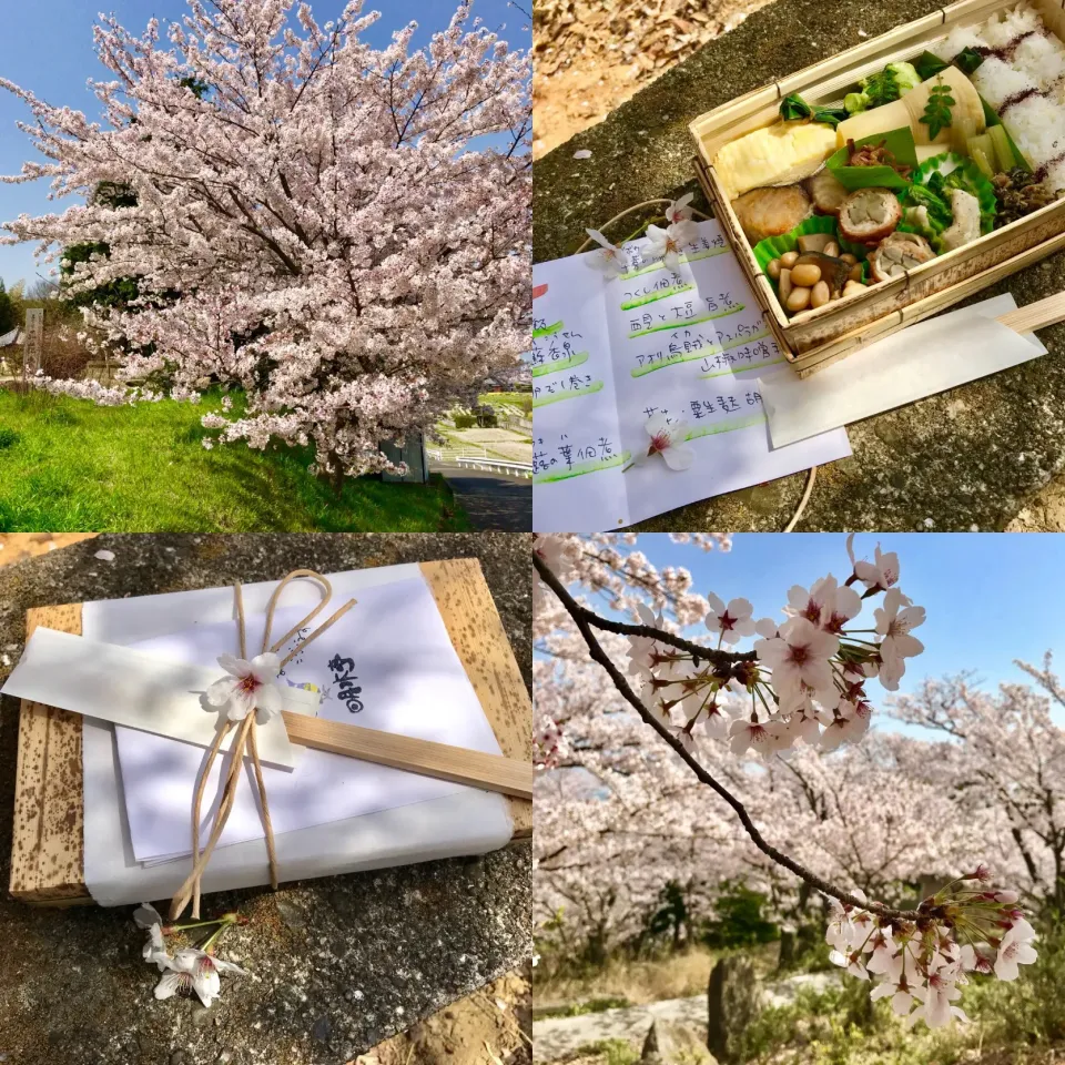 Snapdishの料理写真:お花見弁当🌸|かおり🐰さん