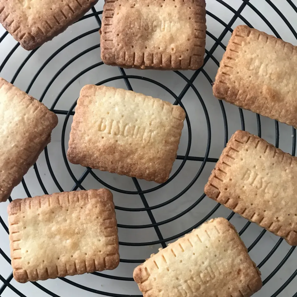 麻紀子さんの料理 レモンソルトクッキー🍋|kayoさん