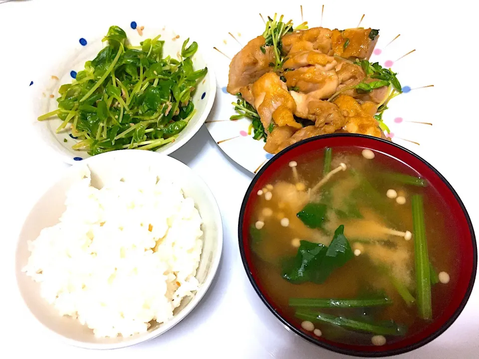 豆苗とツナのサラダ
鶏モモと豆苗の甘辛炒め
ほうれん草とえのきの味噌汁|ゆーさん