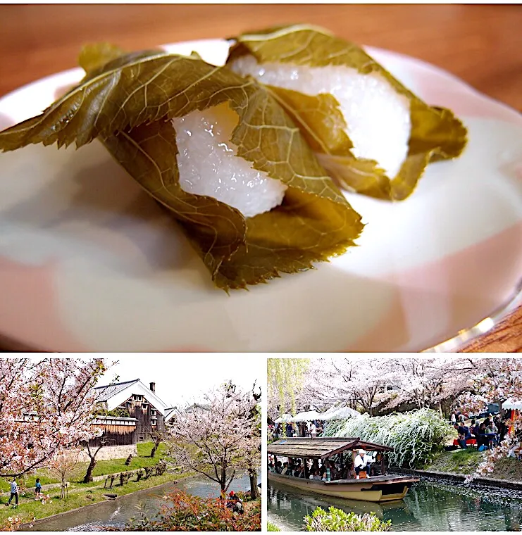 さくら餅／京都伏見 富英堂|Hiro Yanさん