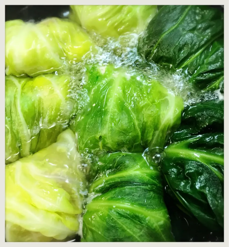 ロールキャベツ仕込み中。Ground meat rolled in cabbage leaves|toyamadaさん