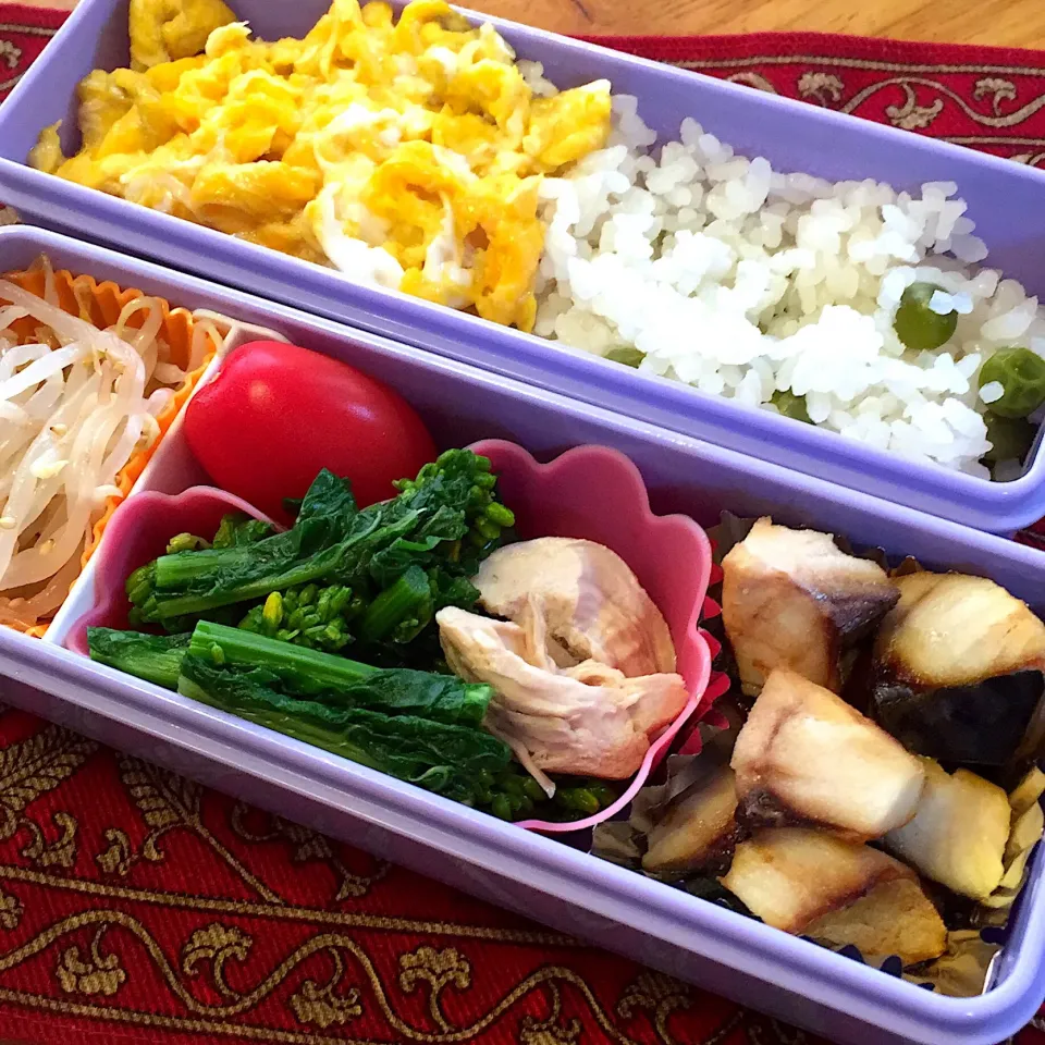 塩鯖と、鶏ささみと菜の花のおひたしと、もやしのナムルと、豆ご飯弁当|もえさん