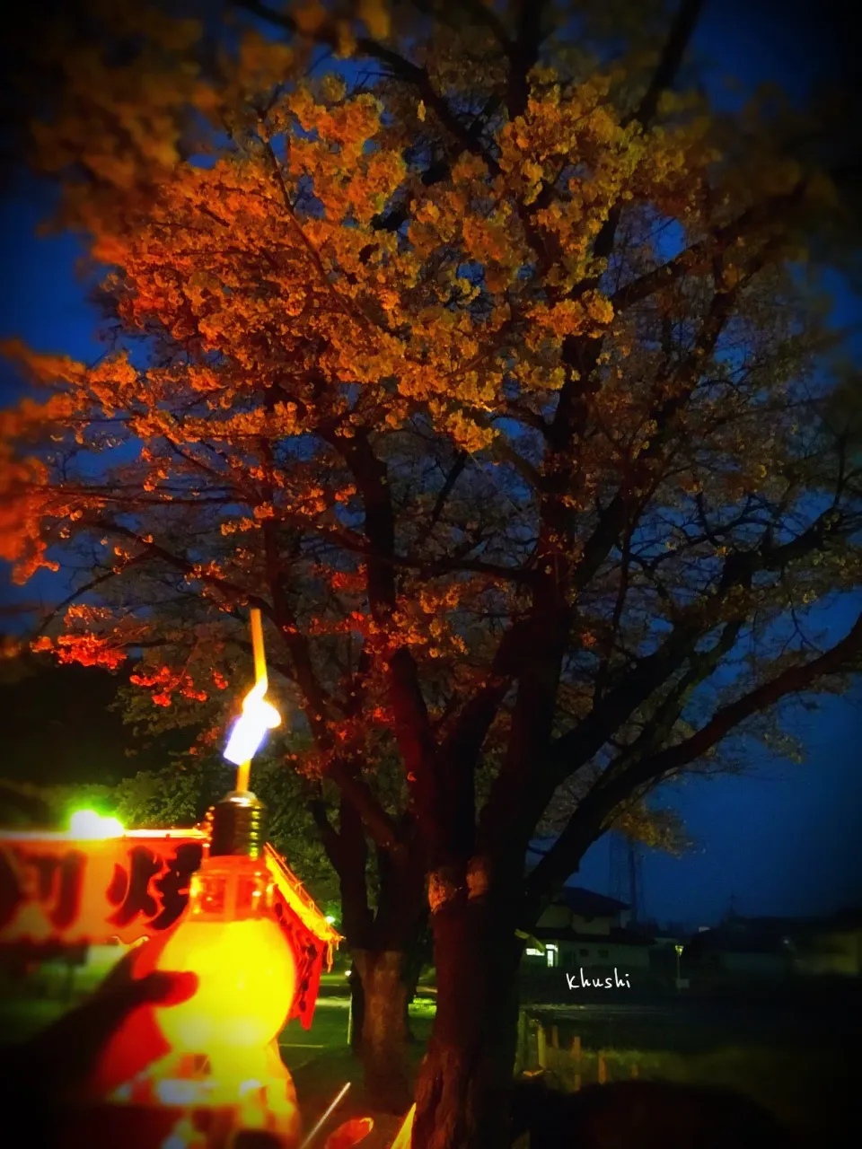 ✨ピカピカドリンク✨

小僧はバナナチョコ🍌
〜夜桜が暖かく見られた、綺麗だったなぁ〜|KOZUEさん