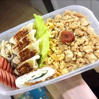 Snapdishの料理写真:鶏そぼろ弁当🍱|えむしさん