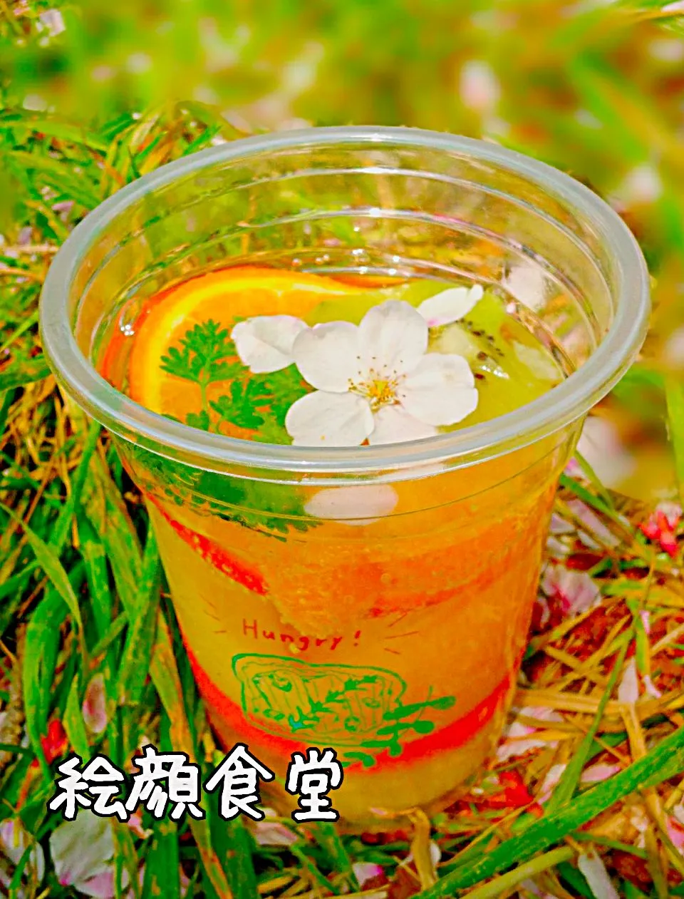 缶チューハイに冷凍フルーツたっぷり入れてお花見🌸|jun47さん