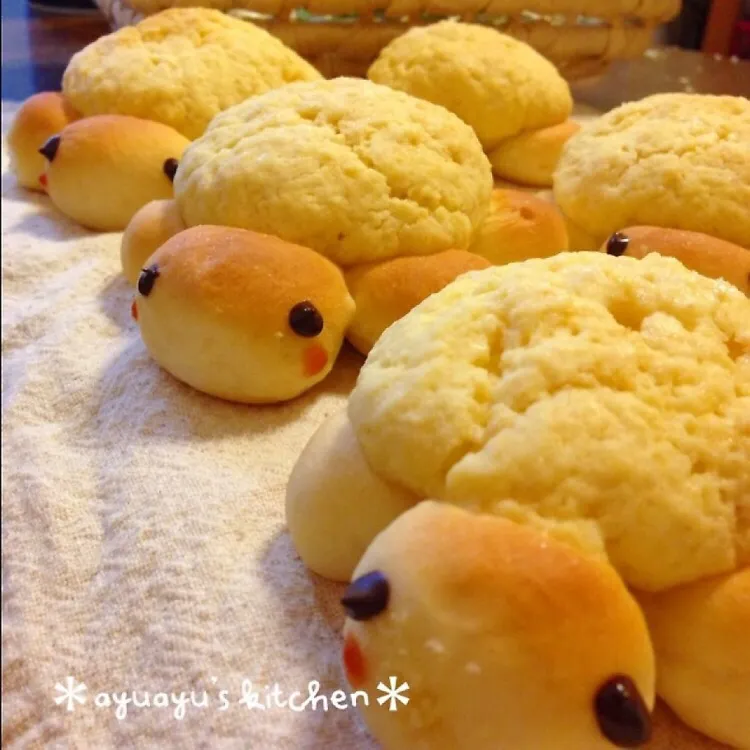 Snapdishの料理写真:カメさんのメロンパン♡︎|laulea_kitchenさん