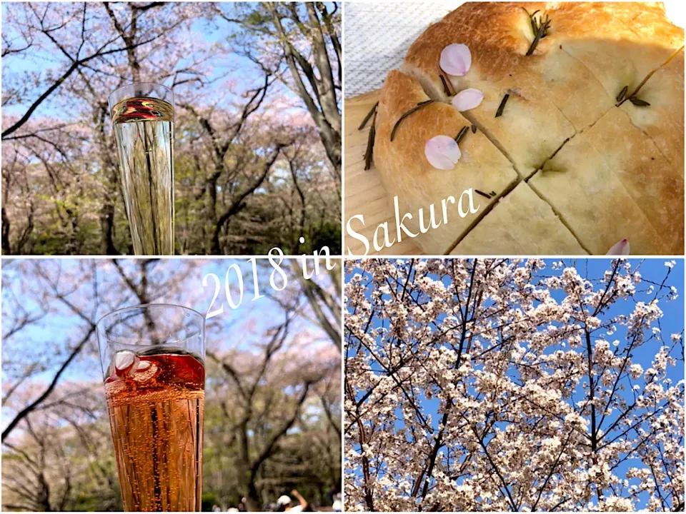 Snapdishの料理写真:🌸桜🌸|桜央里さん