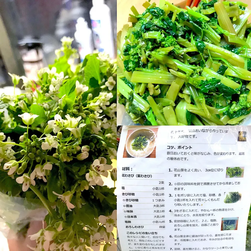 春の香り広がる🌸シャキシャキ花わさび🍀☘️🍀🌿|misakoさん