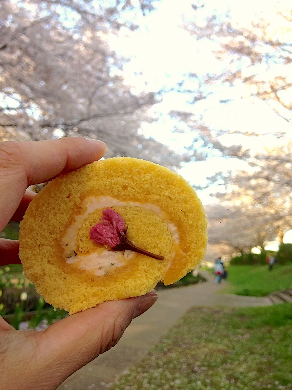 桜あんのロールケーキ|mayumiさん