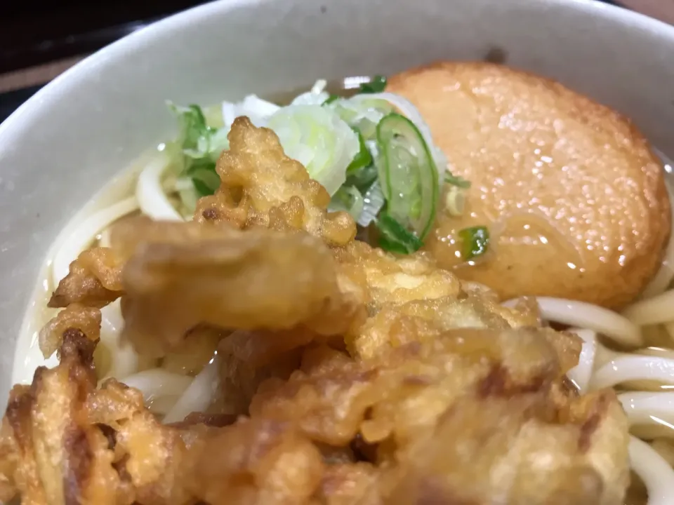 ゴボ天うどん、丸天トッピング|buhizouさん