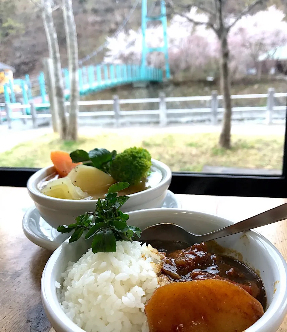 サクラを見ながらランチ🌸|wildcat山猫さん