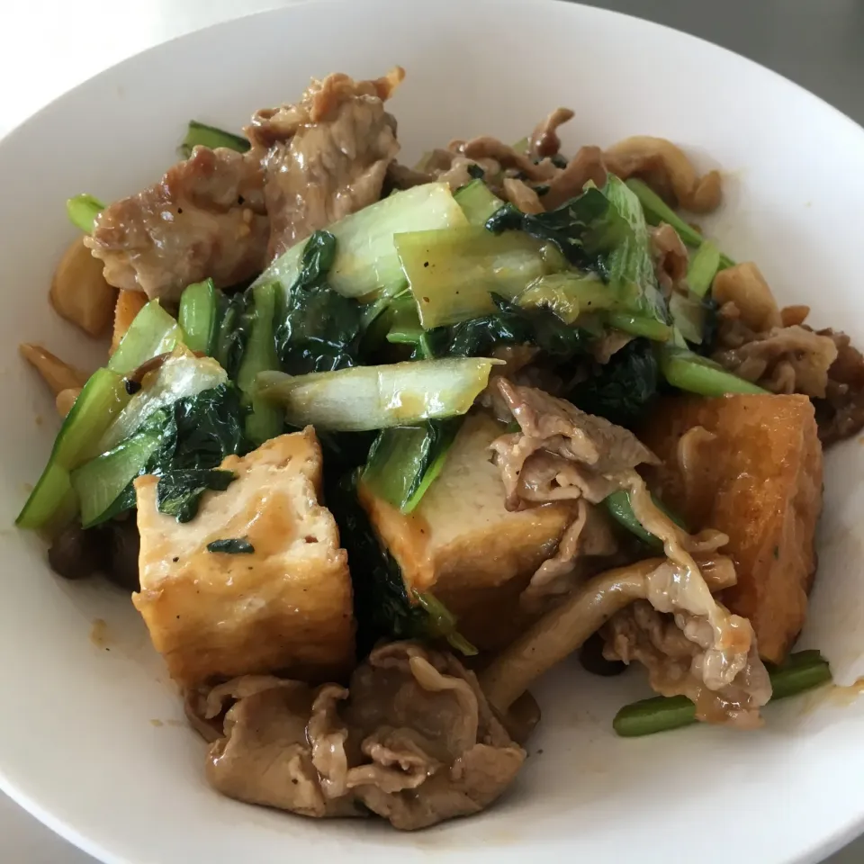 厚揚げと豚肉の炒め物|seiko Oさん